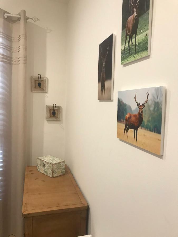 Apartament Neret II Sort Exteriör bild